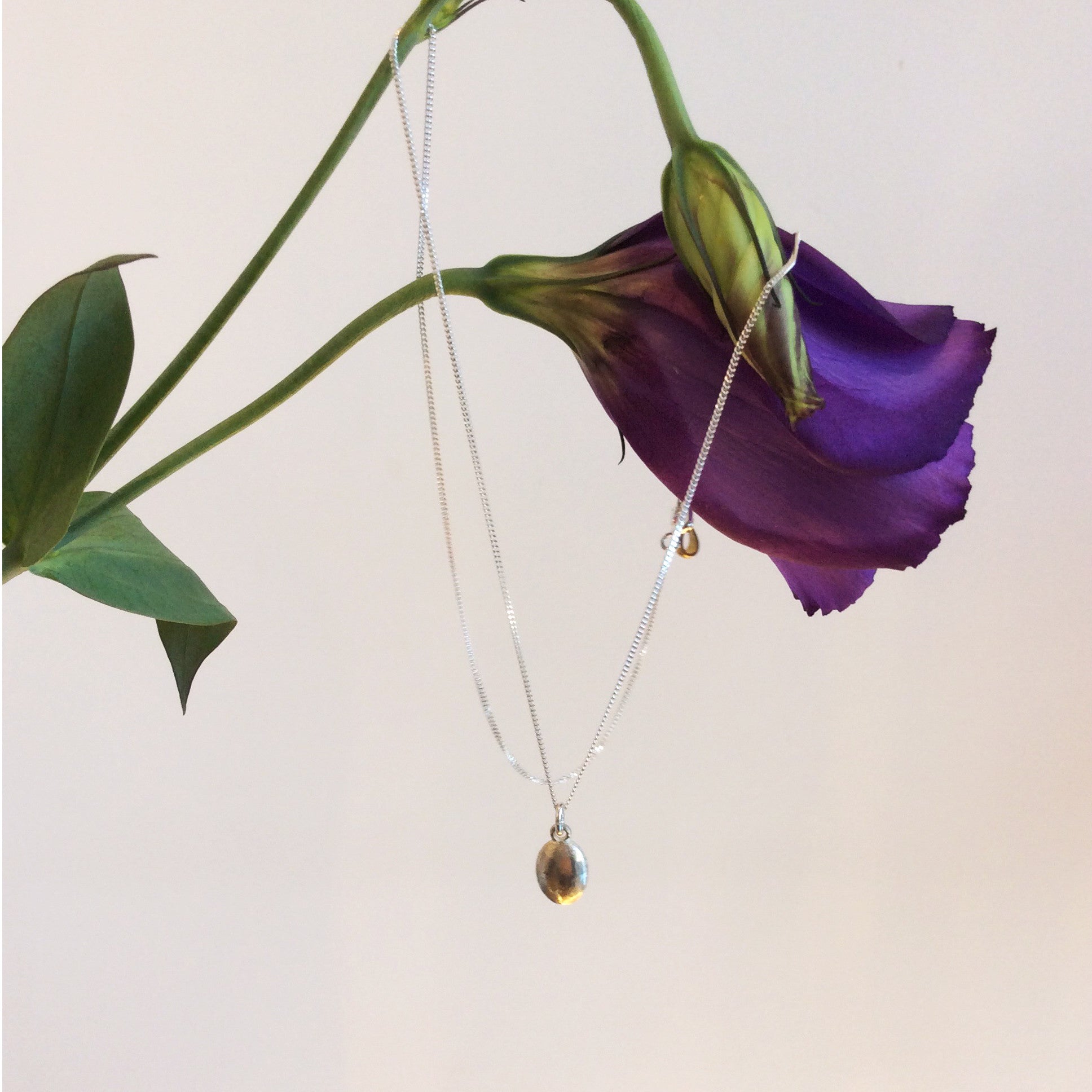 ORNAMENT & CRIME OVAL MEDAL CHARM NECKLACE