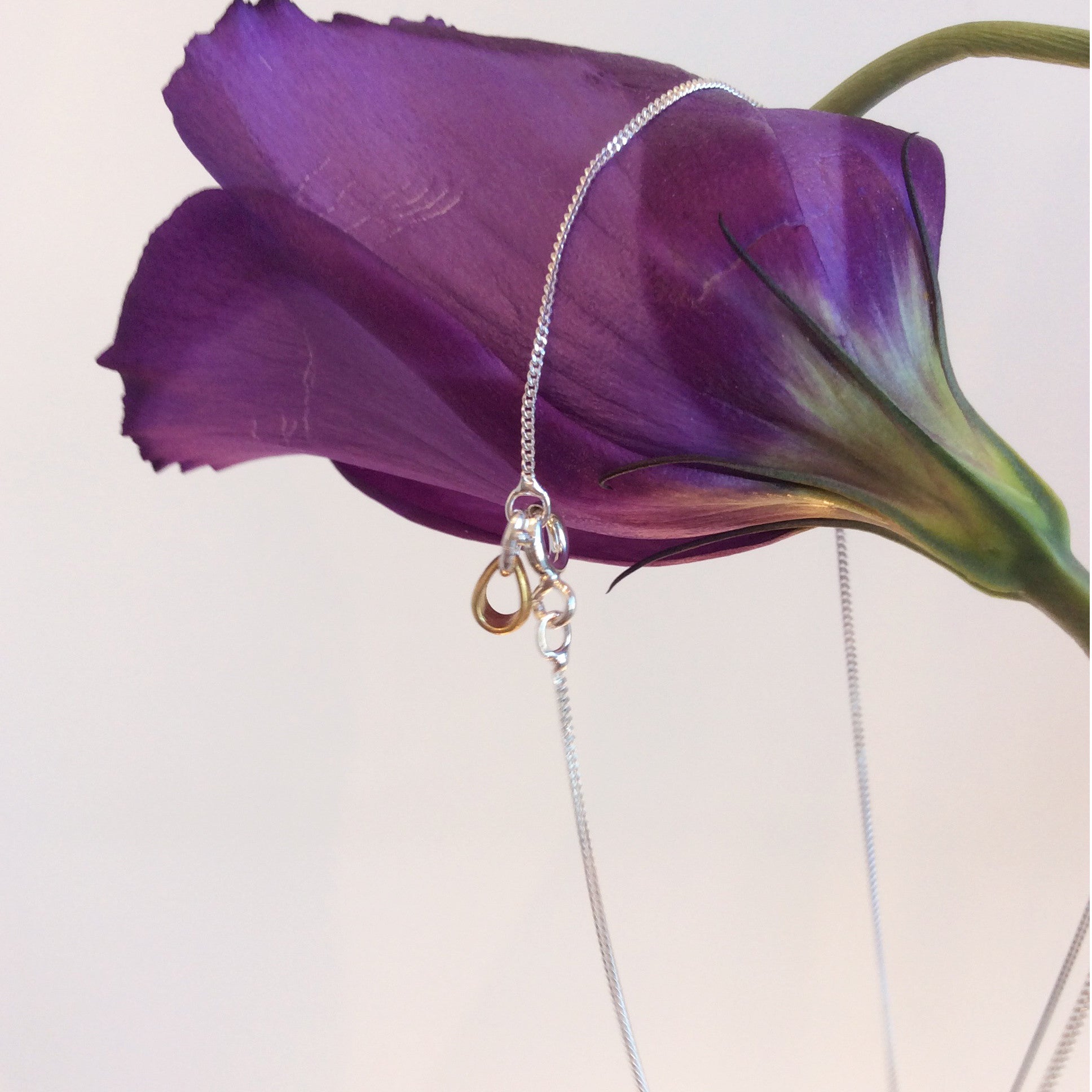 ORNAMENT & CRIME OVAL MEDAL CHARM NECKLACE