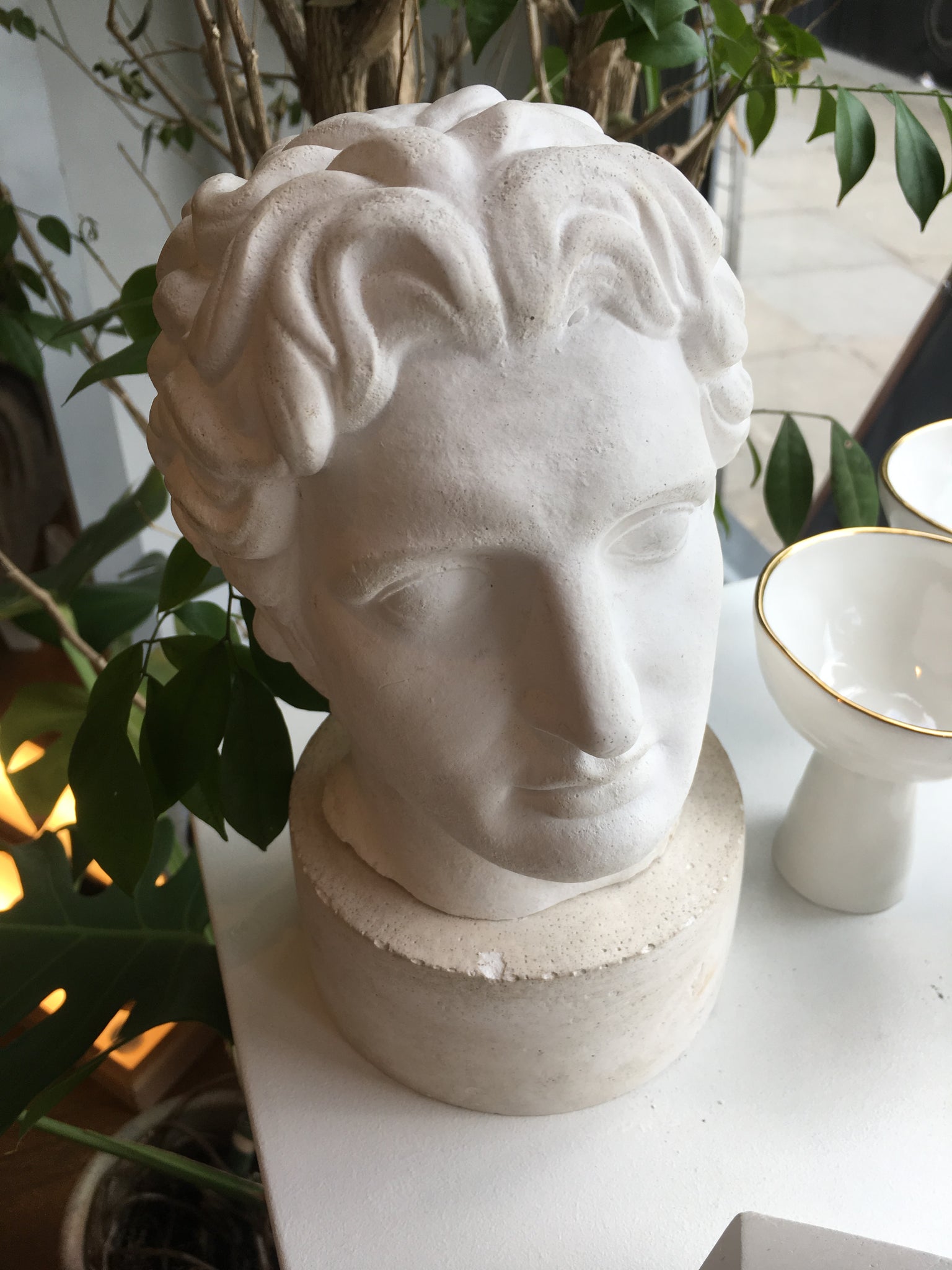 Plaster, Head with Round Stand