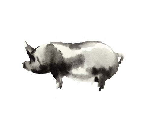Artist Print 'THE BLACK PIG'