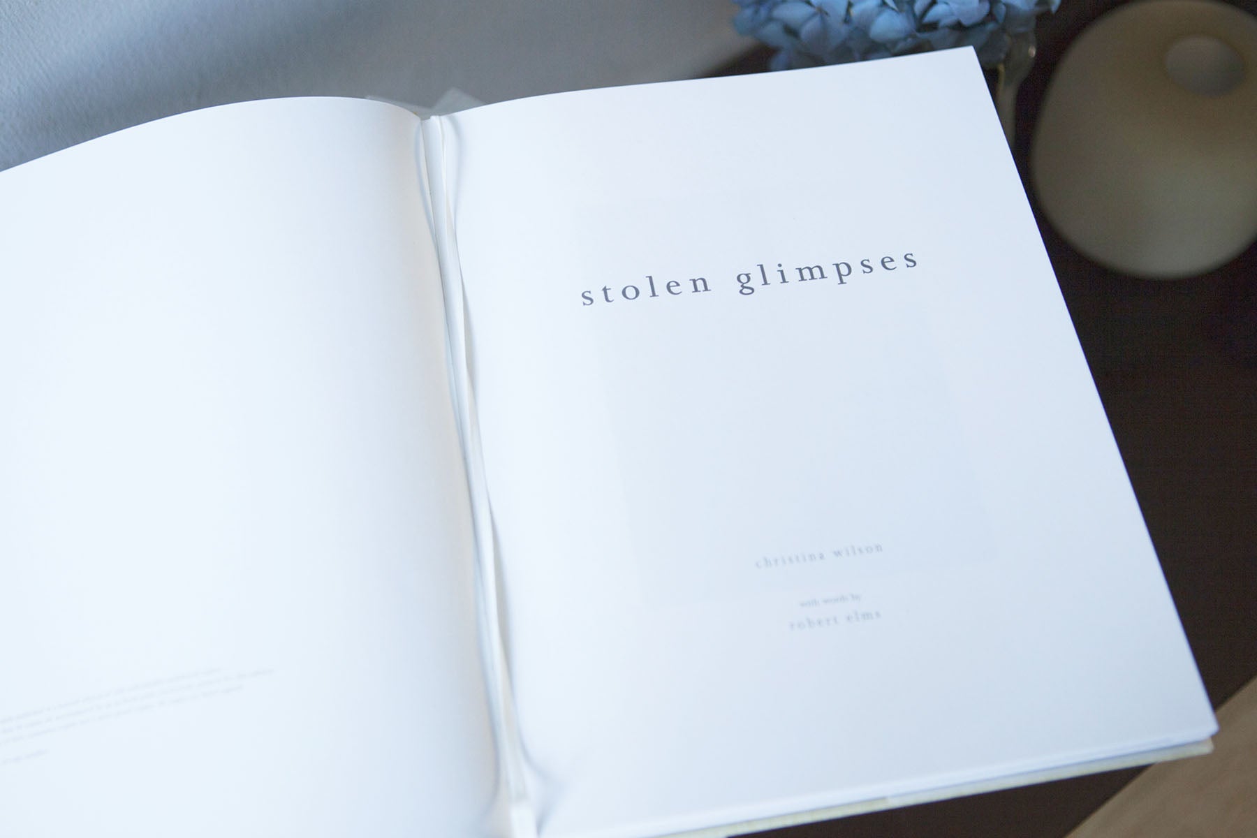 Stolen Glimpses by Christina Wilson